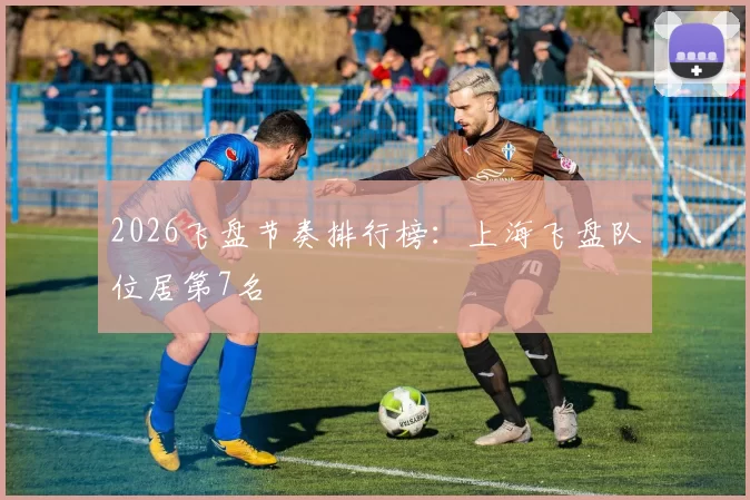 2026飞盘节奏排行榜：上海飞盘队位居第7名