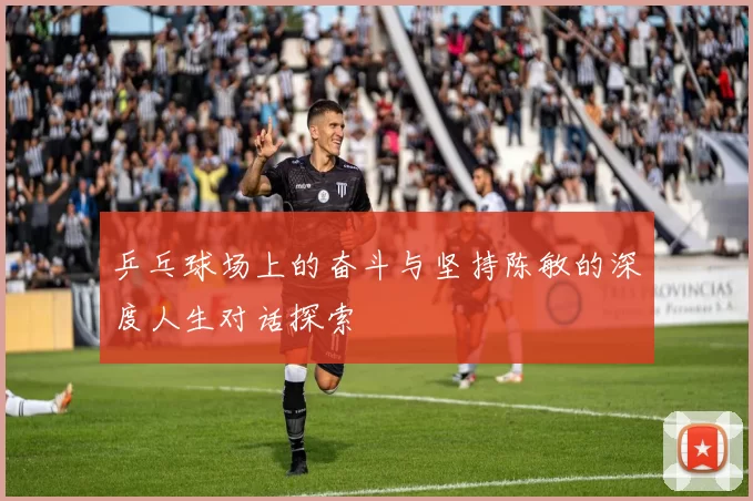 乒乓球场上的奋斗与坚持陈敏的深度人生对话探索