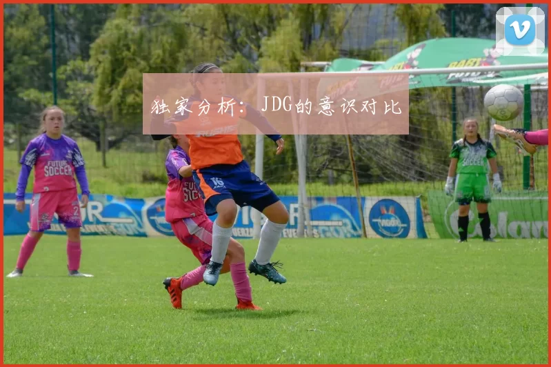 独家分析：JDG的意识对比