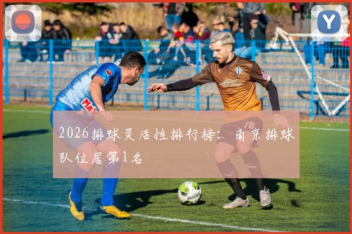 2026排球灵活性排行榜：南京排球队位居第1名