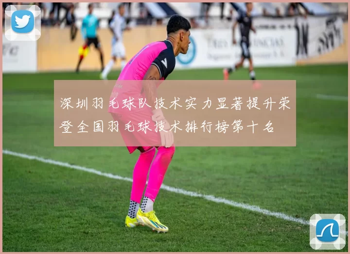 深圳羽毛球队技术实力显著提升荣登全国羽毛球技术排行榜第十名