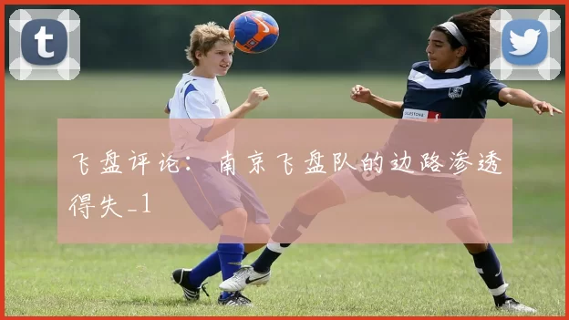 飞盘评论：南京飞盘队的边路渗透得失_1